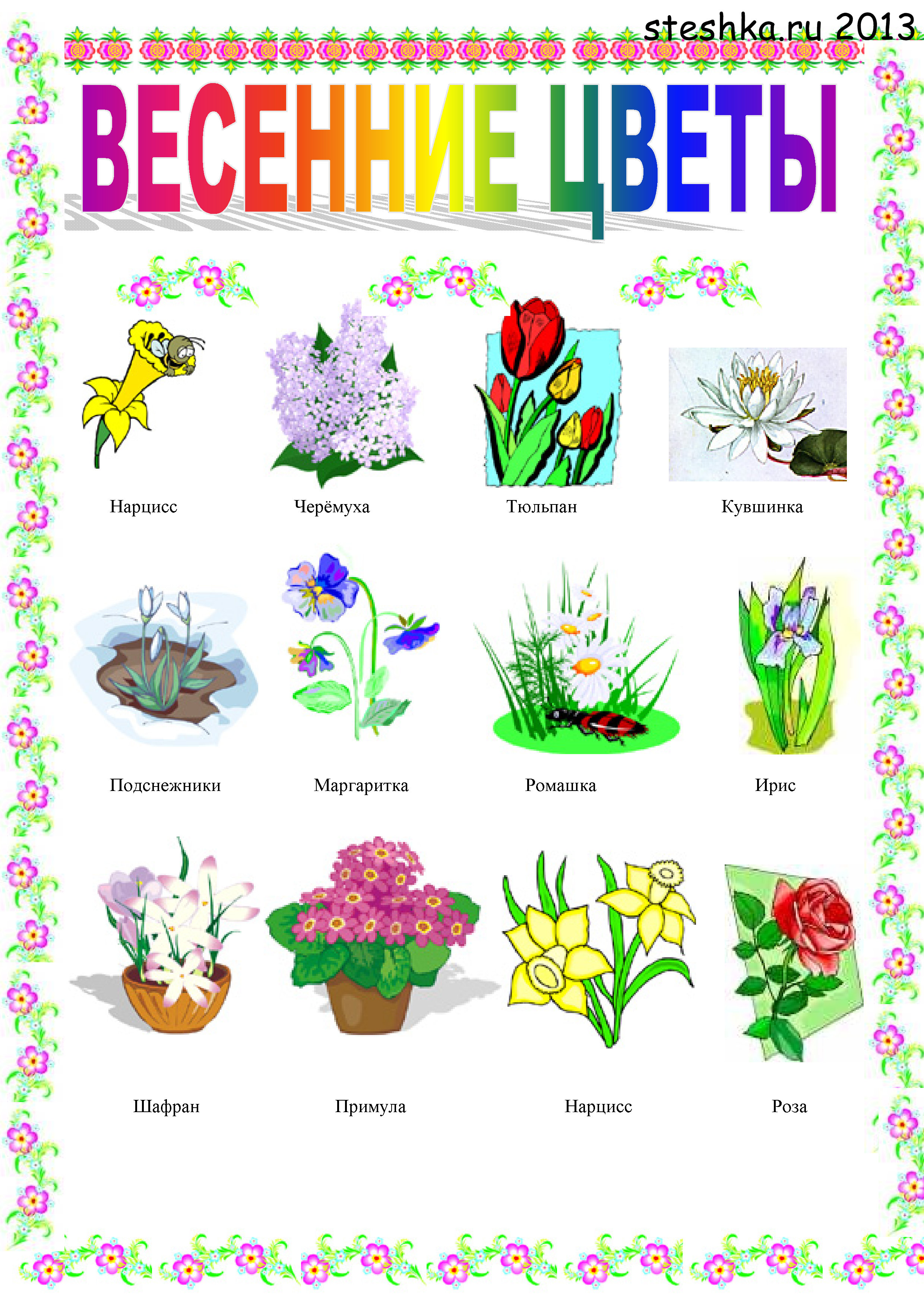 Топ лучших цветов для школьного кабинета: фото и названия